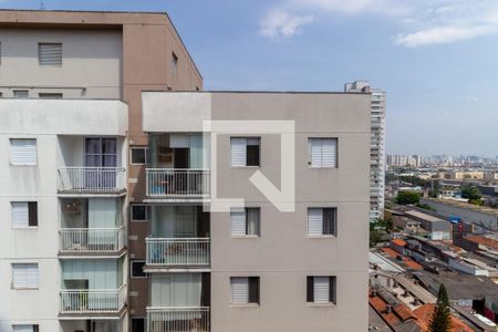 Vista - Quarto 1 de apartamento à venda com 3 quartos, 59m² em Quinta da Paineira, São Paulo