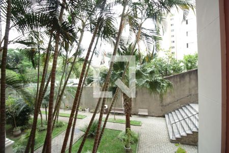 Vista da Sala de apartamento para alugar com 3 quartos, 73m² em Jardim Ubirajara, São Paulo