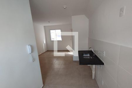 Cozinha- lavanderia de apartamento para alugar com 2 quartos, 50m² em Campos Elísios, Ribeirão Preto