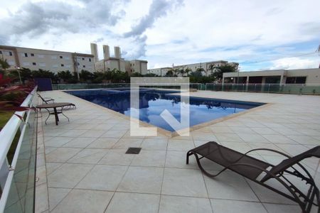 Apartamento para alugar com 50m², 2 quartos e 1 vaga Apartamento para alugar com 50m², 2 quartos e 1 vagaPiscina