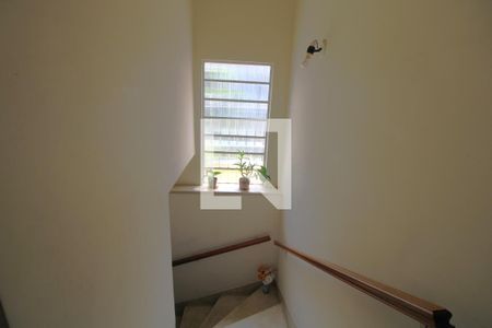 Escada de casa à venda com 3 quartos, 262m² em Jardim Itapeva, São Paulo