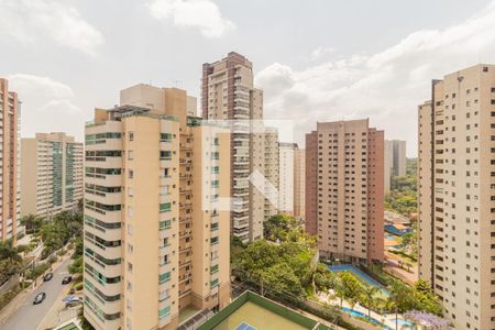 Vista da Varanda da Sala de apartamento para alugar com 1 quarto, 58m² em Morumbi, São Paulo