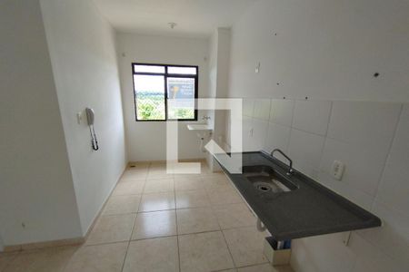 Cozinha  de apartamento para alugar com 2 quartos, 50m² em Florestan Fernandes, Ribeirão Preto