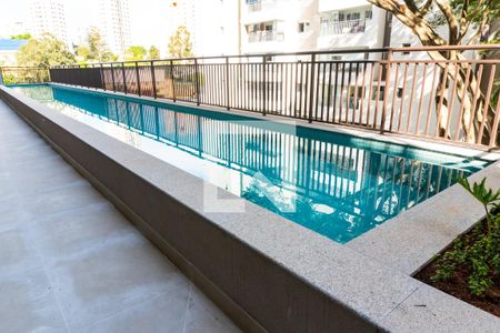 Área comum - Piscina de apartamento para alugar com 1 quarto, 30m² em Vila Santa Catarina, São Paulo