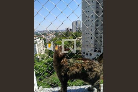 Apartamento à venda com 4 quartos, 200m² em Vila Suzana, São Paulo