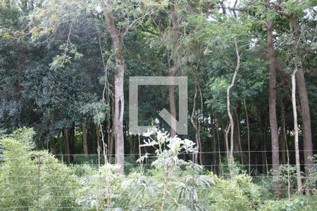 Casa de condomínio à venda com 334m², 4 quartos e 2 vagas Casa de condomínio à venda com 334m², 4 quartos e 2 vagasVista do Quarto 2