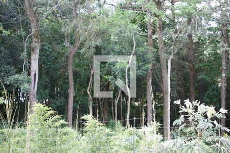 Casa de condomínio à venda com 334m², 4 quartos e 2 vagas Casa de condomínio à venda com 334m², 4 quartos e 2 vagasVista do Quarto 2