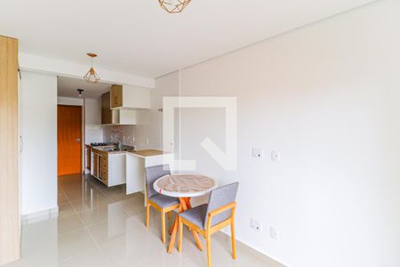 Studio de kitnet/studio para alugar com 1 quarto, 24m² em Chácara Santo Antônio, São Paulo