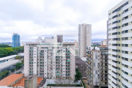 Vista da Varanda  de apartamento para alugar com 1 quarto, 47m² em Jardim Santo Amaro, São Paulo