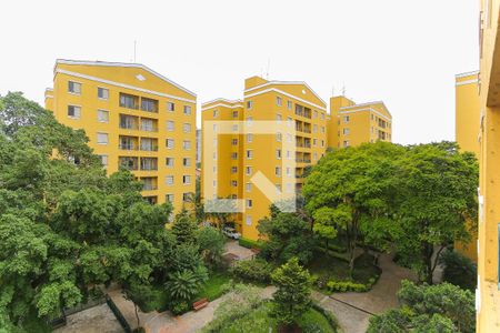 Vista da Varanda de apartamento para alugar com 3 quartos, 64m² em Vila Morse, São Paulo