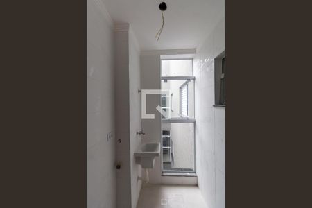 Cozinha e Área de Serviço de apartamento para alugar com 2 quartos, 36m² em Cidade Centenário, São Paulo