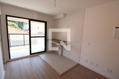 Sala / Cozinha / Área de Serviço de apartamento para alugar com 1 quarto, 31m² em Jardim São Paulo, São Paulo