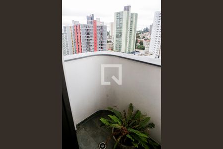 Apartamento à venda com 196m², 3 quartos e 2 vagas Apartamento à venda com 196m², 3 quartos e 2 vagasVaranda Suite 1