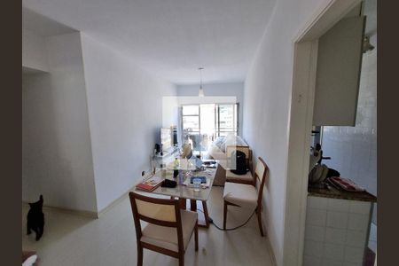 Sala de apartamento para alugar com 2 quartos, 58m² em Méier, Rio de Janeiro