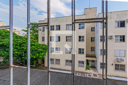 Vista da Sala de apartamento para alugar com 2 quartos, 46m² em Coqueiros, Florianópolis