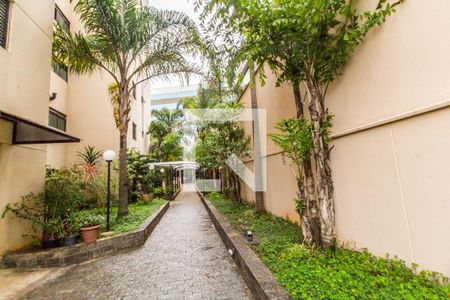 Apartamento à venda com 91m², 3 quartos e 2 vagas Apartamento à venda com 91m², 3 quartos e 2 vagasÁrea comum