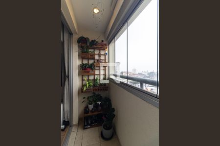 Varanda da Sala de apartamento à venda com 3 quartos, 63m² em Vila Vermelha, São Paulo