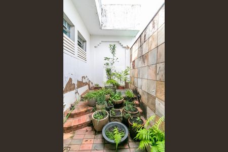 Jardim de casa à venda com 3 quartos, 231m² em Sagrada Família, Belo Horizonte
