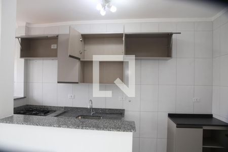 Cozinha de apartamento para alugar com 2 quartos, 50m² em Nova Mirim, Praia Grande