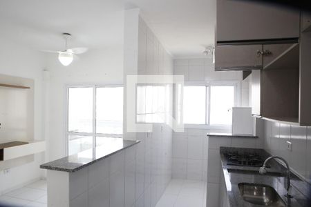 Cozinha de apartamento para alugar com 2 quartos, 50m² em Nova Mirim, Praia Grande