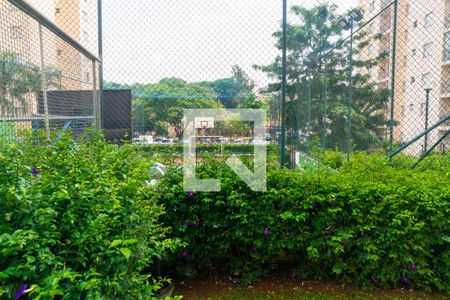 Vista do Quarto 1 de apartamento à venda com 2 quartos, 47m² em Vila Parque Jabaquara, São Paulo