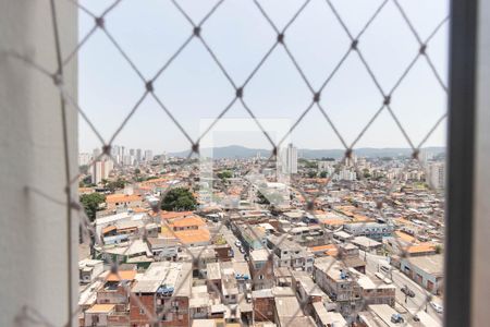 Vista de apartamento para alugar com 2 quartos, 57m² em Vila Basileia, São Paulo