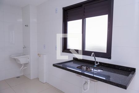 Sala Cozinha e Lavanderia de apartamento para alugar com 2 quartos, 47m² em Vila Nhocuné, São Paulo