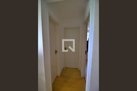 Corredor de apartamento para alugar com 3 quartos, 60m² em Paraisópolis, São Paulo