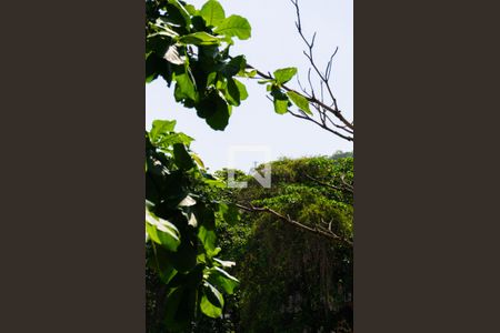 Vista sala de apartamento para alugar com 3 quartos, 120m² em Botafogo, Rio de Janeiro