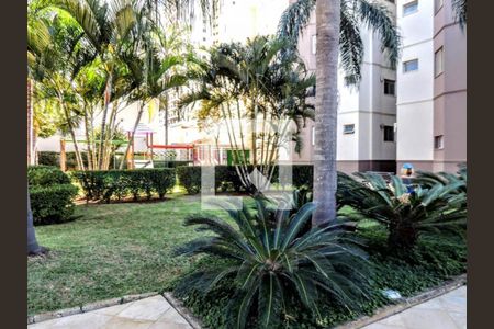 Apartamento à venda com 3 quartos, 73m² em Chácara Primavera, Campinas