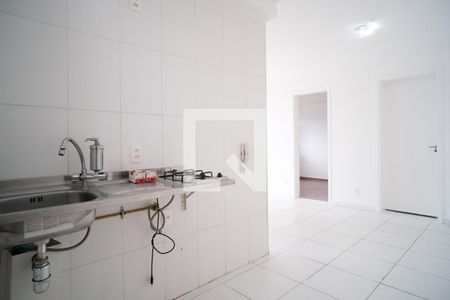 Cozinha de apartamento para alugar com 2 quartos, 50m² em Jardim Santa Terezinha (zona Leste), São Paulo