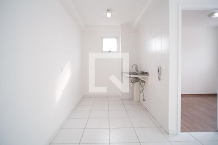 Cozinha de apartamento para alugar com 2 quartos, 50m² em Jardim Santa Terezinha (zona Leste), São Paulo