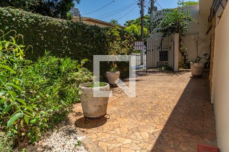 Casa para alugar com 177m², 3 quartos e 2 vagas Casa para alugar com 177m², 3 quartos e 2 vagasQuintal