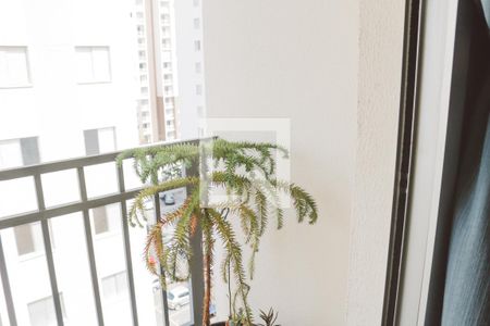 Varanda de apartamento à venda com 3 quartos, 57m² em Vila Guilherme, São Paulo