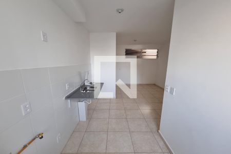 Cozinha - Lavanderia de apartamento para alugar com 2 quartos, 45m² em Residencial Parque dos Servidores, Ribeirão Preto