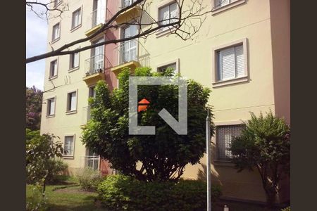 Apartamento à venda com 3 quartos, 61m² em Jardim dos Oliveiras, Campinas