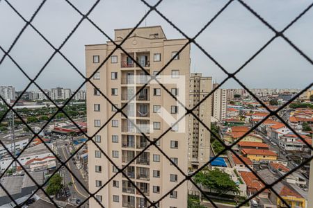 Vista Varanda da sala de apartamento para alugar com 2 quartos, 50m² em Piqueri, São Paulo