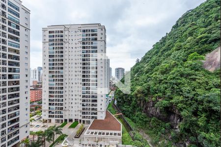 Vista de apartamento para alugar com 2 quartos, 62m² em Marapé, Santos