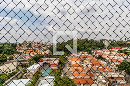 Sala - Varanda de apartamento para alugar com 3 quartos, 68m² em Jardim Bonfiglioli, São Paulo