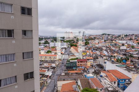 vista da Sala de apartamento à venda com 2 quartos, 34m² em Vila Pierina, São Paulo