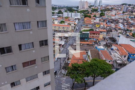 vista da Sala de apartamento para alugar com 2 quartos, 34m² em Vila Pierina, São Paulo