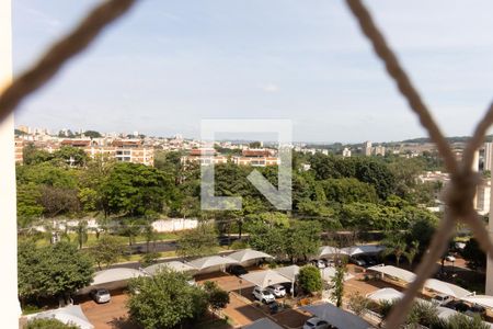 Vista da Varanda de apartamento para alugar com 2 quartos, 57m² em Jardim Castelo Branco, Ribeirão Preto