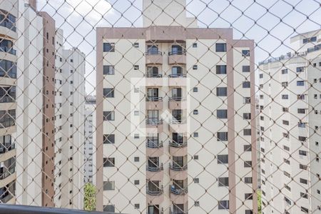 Vista da Varanda da Sala de apartamento para alugar com 2 quartos, 140m² em Vila Mariana, São Paulo