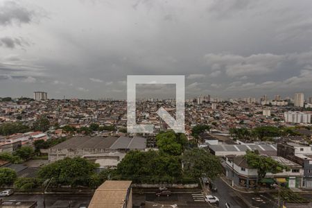 Studio de kitnet/studio para alugar com 1 quarto, 18m² em Vila Moraes, São Paulo