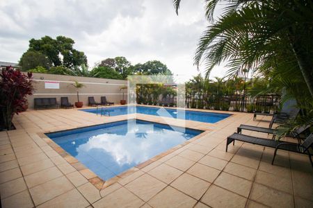Apartamento para alugar com 56m², 2 quartos e 1 vaga Apartamento para alugar com 56m², 2 quartos e 1 vagaÁrea comum - Piscina