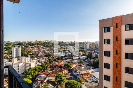 Varanda - Vista de apartamento à venda com 3 quartos, 69m² em Vila Indiana, São Paulo