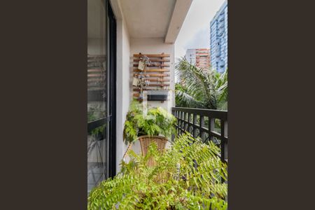 Varanda da Sala de apartamento para alugar com 3 quartos, 75m² em Jardim Colombo, São Paulo