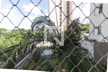 Vista de apartamento para alugar com 2 quartos, 47m² em Vila Bela Vista (zona Norte), São Paulo