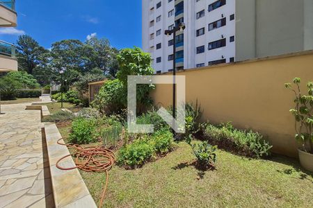 Jardim de apartamento para alugar com 3 quartos, 199m² em Parque Mandaqui, São Paulo