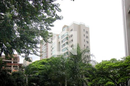 Vista da Sala de apartamento à venda com 4 quartos, 126m² em Sion, Belo Horizonte